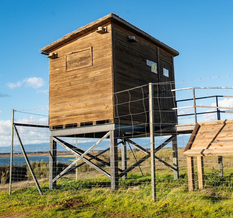 Observatorios de aves