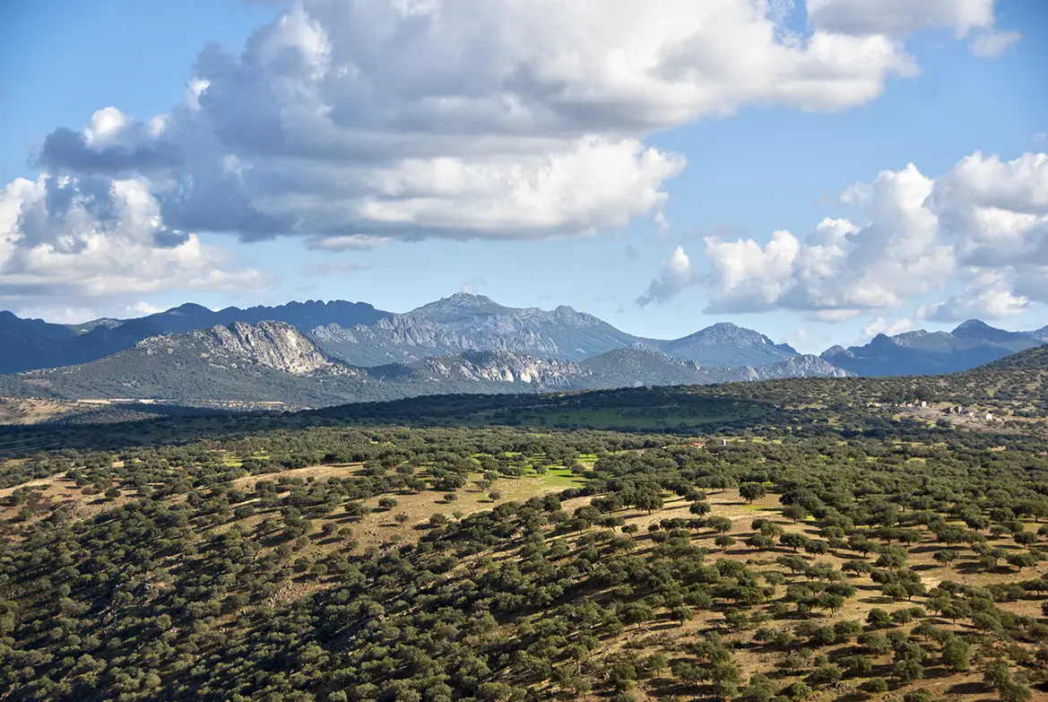 Senderos del geoparque