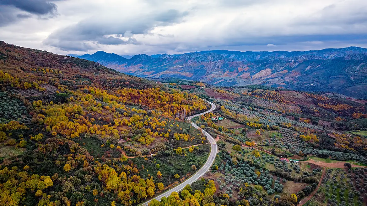 Carretera de las Villuercas