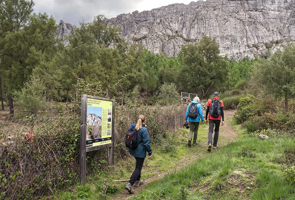Caminos del Arte Rupestre: Puerto Roque
