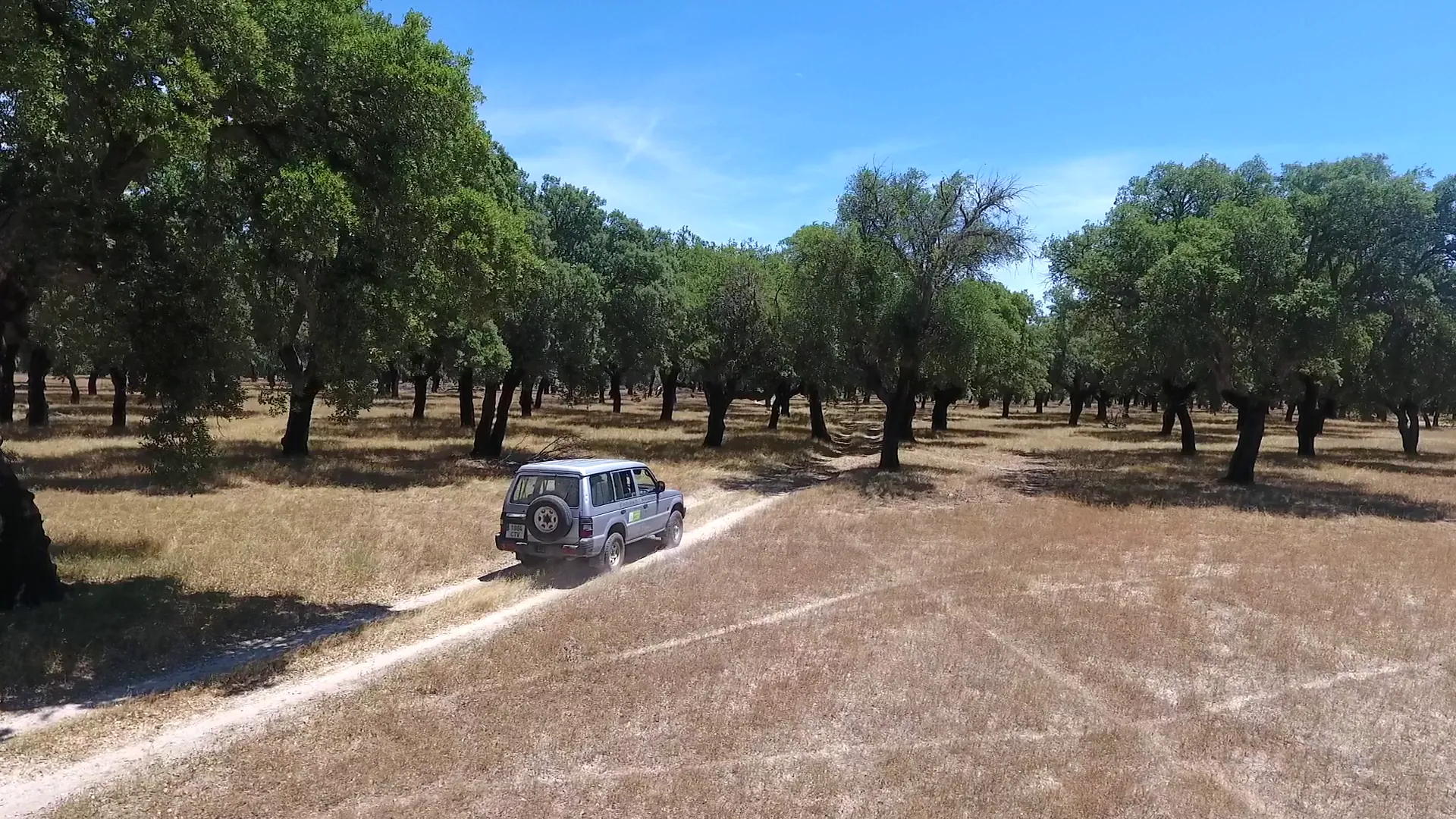 La berrea en Monfragüe (4x4)