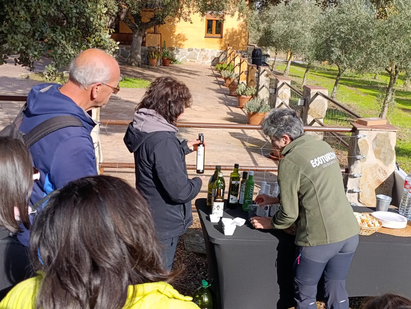 Senderos del olivo y del oro líquido