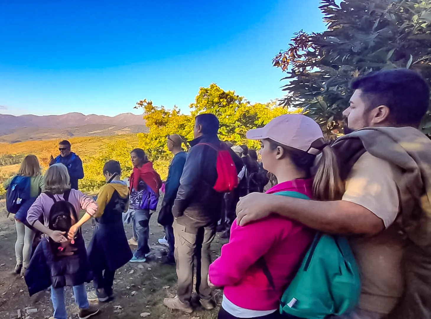 Senderismo slow por bosques de castaños