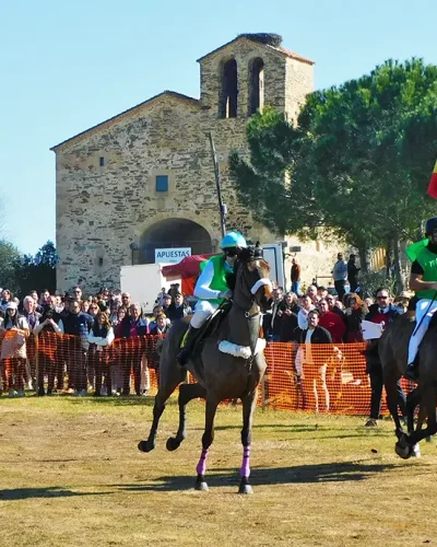 112 FE17_caballos Toril I copia