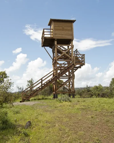 142 ME02_torre Viñas_torre copia
