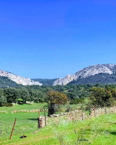 serradilla (2) - monfragüe vivo